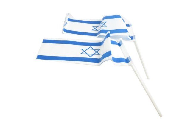 דגלון פלסטיק עם ידית קש